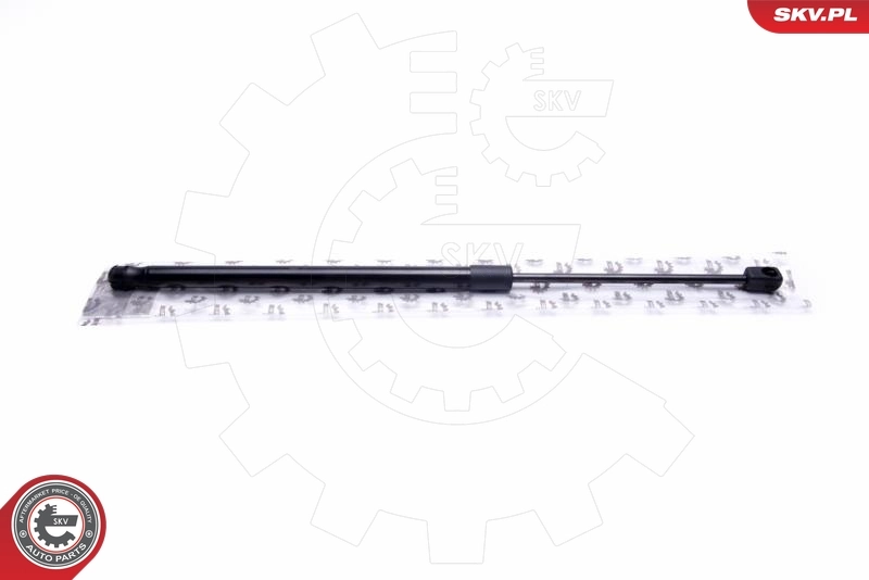 Gas Spring, boot/cargo area